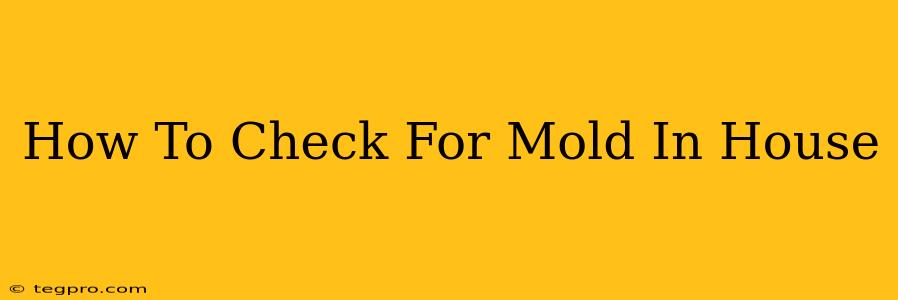 How To Check For Mold In House