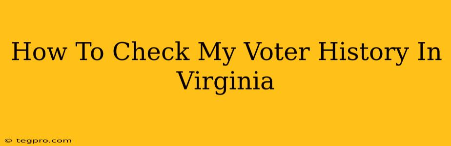 How To Check My Voter History In Virginia