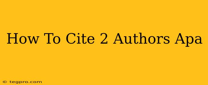 How To Cite 2 Authors Apa