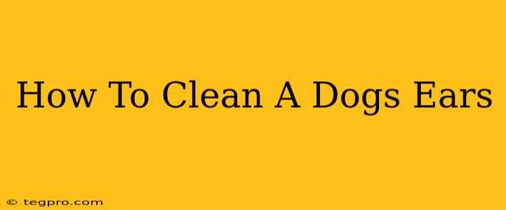 How To Clean A Dogs Ears