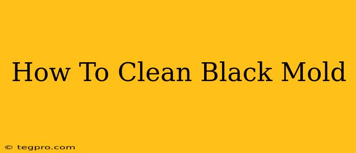 How To Clean Black Mold