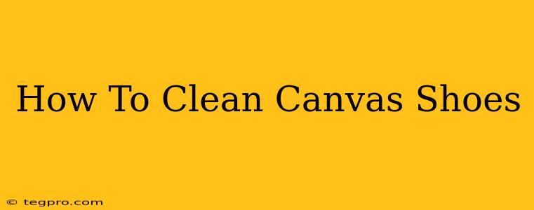 How To Clean Canvas Shoes