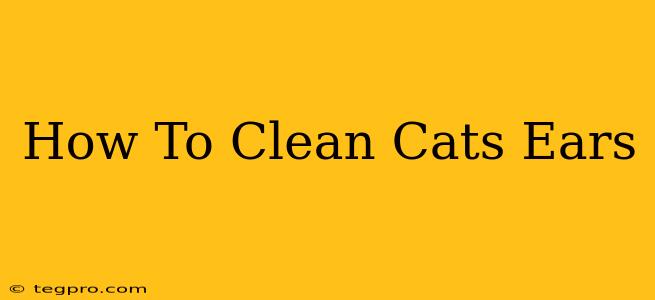 How To Clean Cats Ears