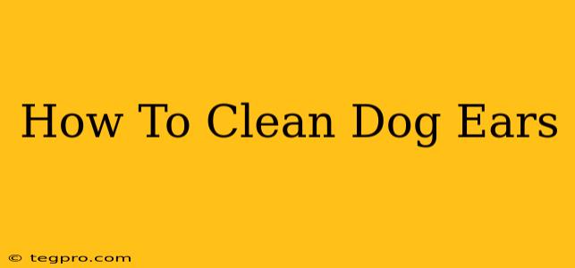 How To Clean Dog Ears