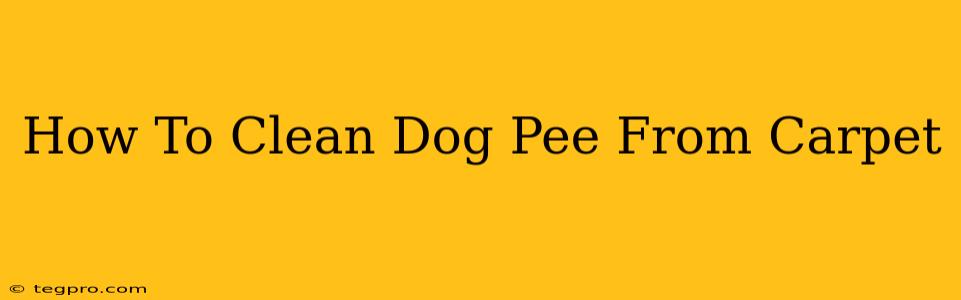 How To Clean Dog Pee From Carpet