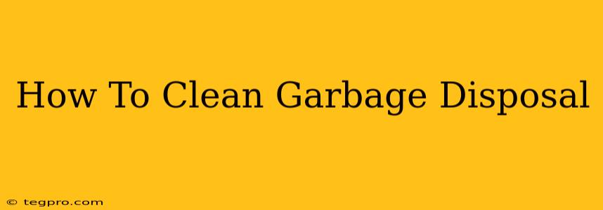 How To Clean Garbage Disposal