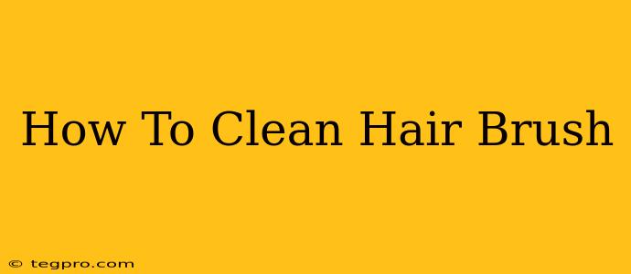 How To Clean Hair Brush