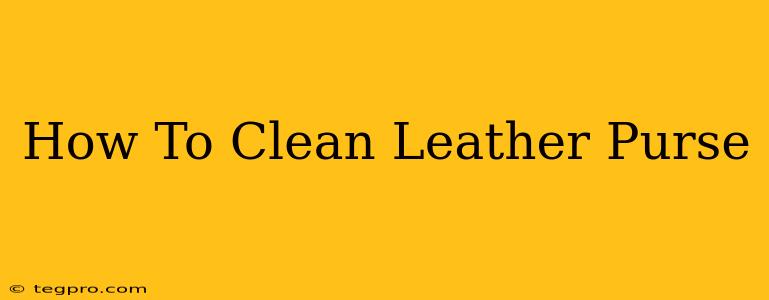 How To Clean Leather Purse