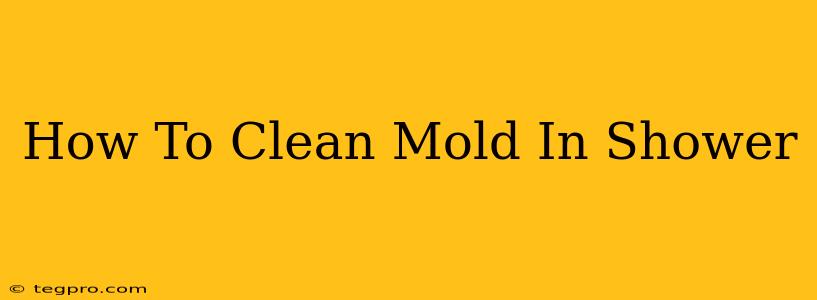 How To Clean Mold In Shower