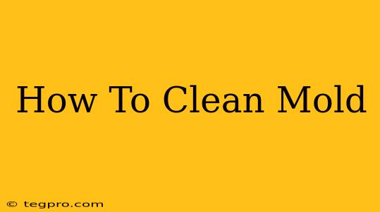 How To Clean Mold