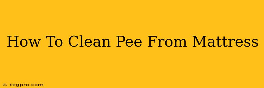 How To Clean Pee From Mattress