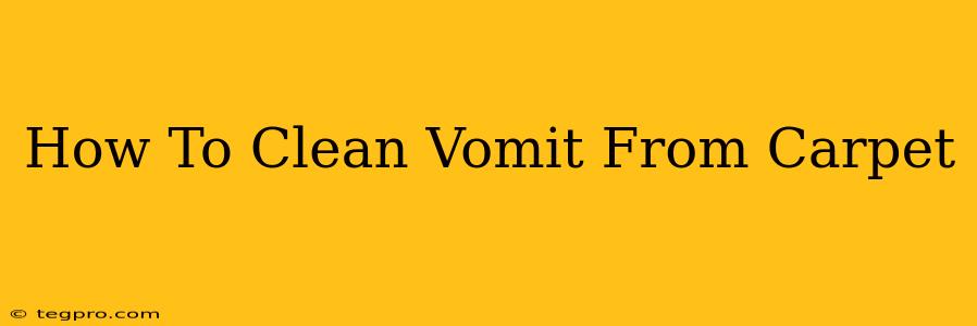 How To Clean Vomit From Carpet