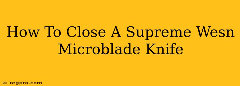 How To Close A Supreme Wesn Microblade Knife