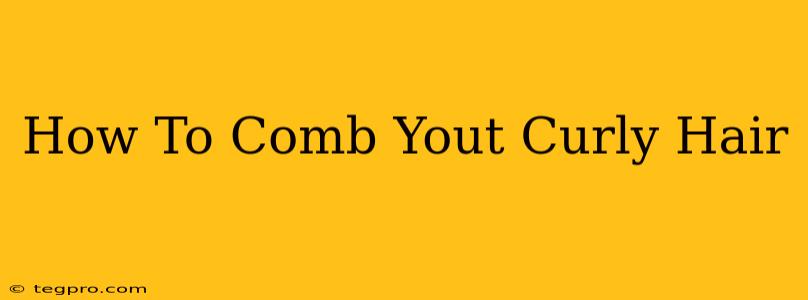 How To Comb Yout Curly Hair