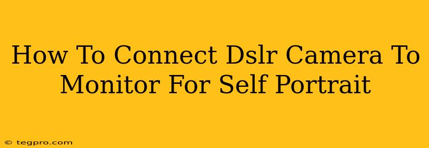 How To Connect Dslr Camera To Monitor For Self Portrait