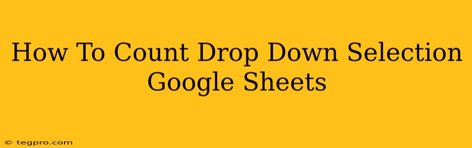 How To Count Drop Down Selection Google Sheets