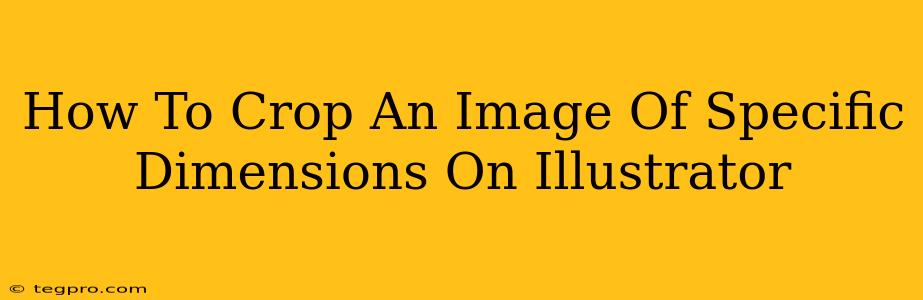 How To Crop An Image Of Specific Dimensions On Illustrator