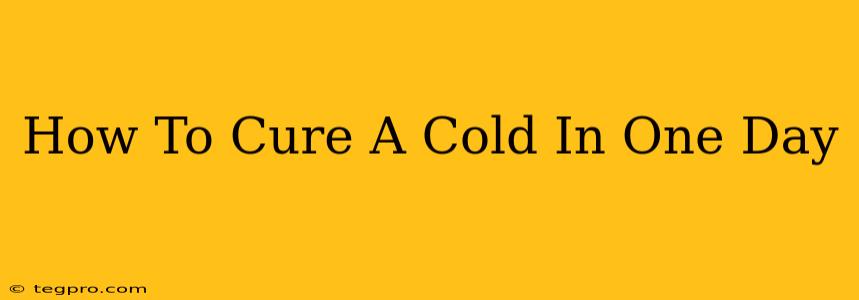 How To Cure A Cold In One Day