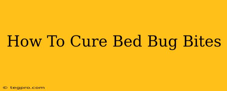 How To Cure Bed Bug Bites