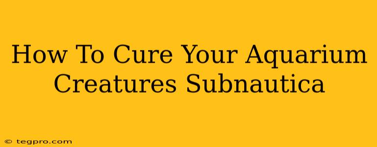 How To Cure Your Aquarium Creatures Subnautica