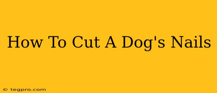 How To Cut A Dog's Nails