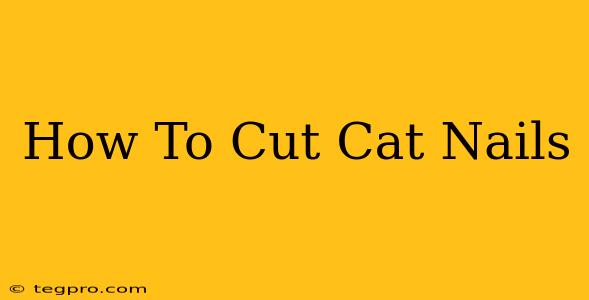 How To Cut Cat Nails