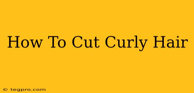 How To Cut Curly Hair