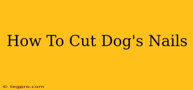 How To Cut Dog's Nails