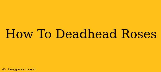 How To Deadhead Roses