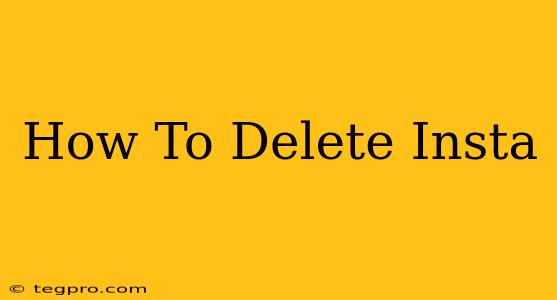 How To Delete Insta