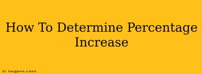 How To Determine Percentage Increase