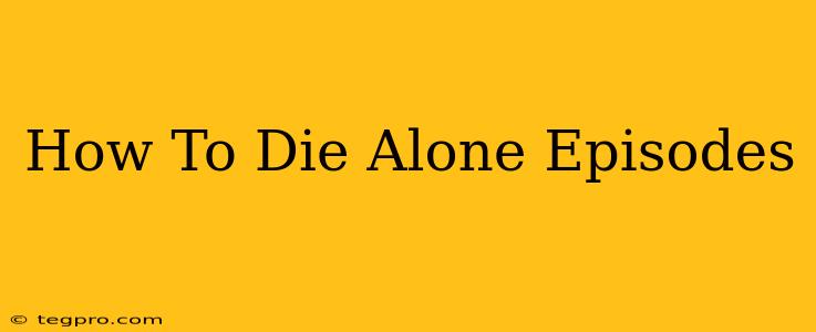 How To Die Alone Episodes