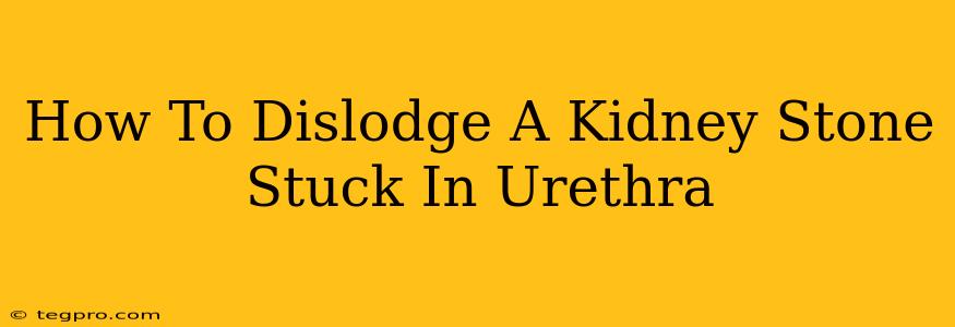 How To Dislodge A Kidney Stone Stuck In Urethra