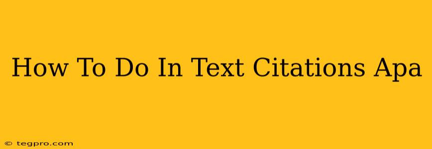 How To Do In Text Citations Apa