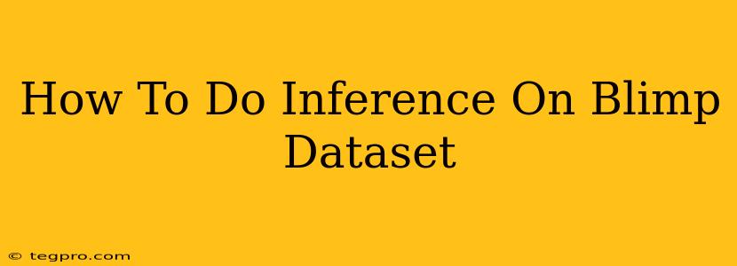 How To Do Inference On Blimp Dataset