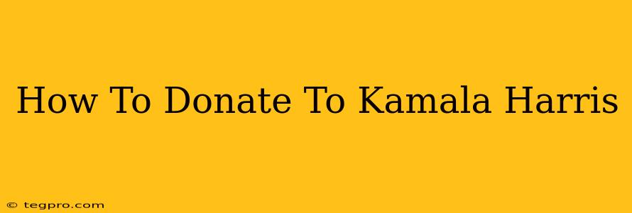 How To Donate To Kamala Harris