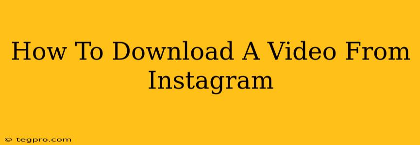 How To Download A Video From Instagram