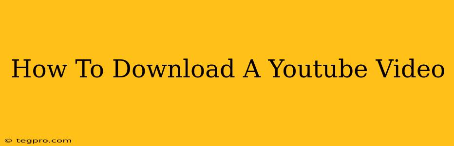 How To Download A Youtube Video