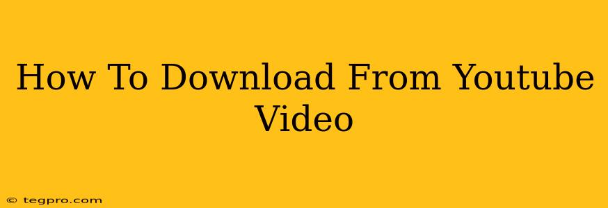 How To Download From Youtube Video