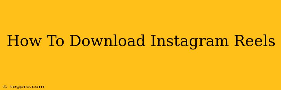 How To Download Instagram Reels