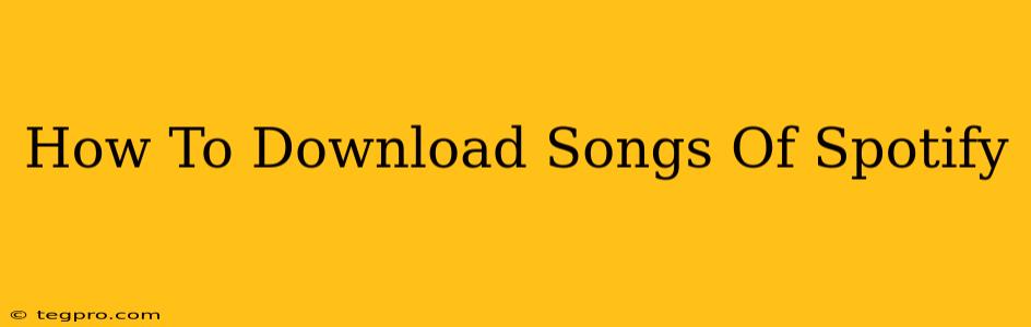 How To Download Songs Of Spotify