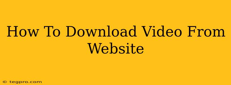 How To Download Video From Website