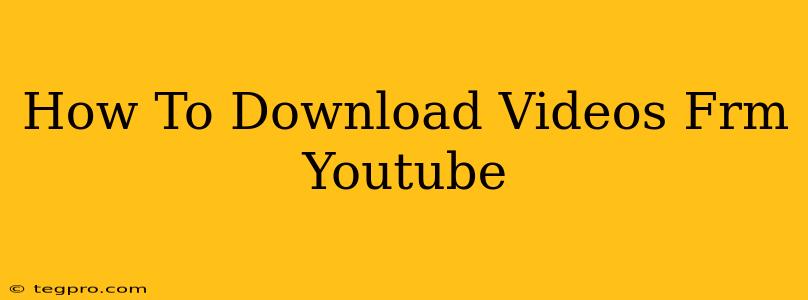 How To Download Videos Frm Youtube