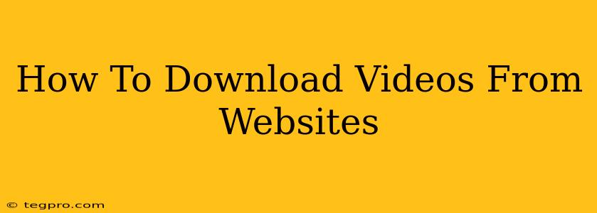 How To Download Videos From Websites