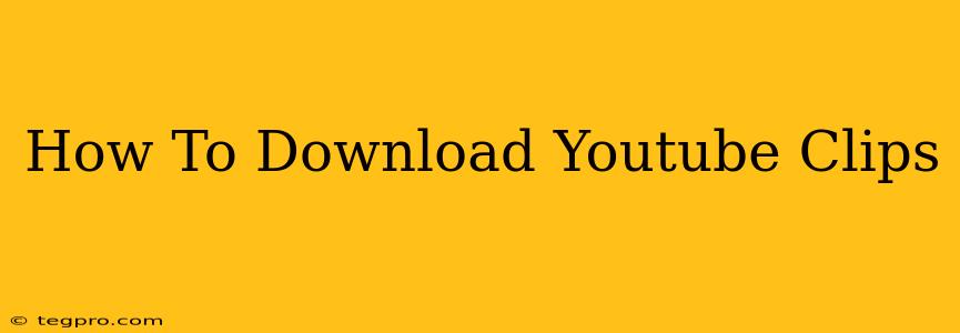 How To Download Youtube Clips