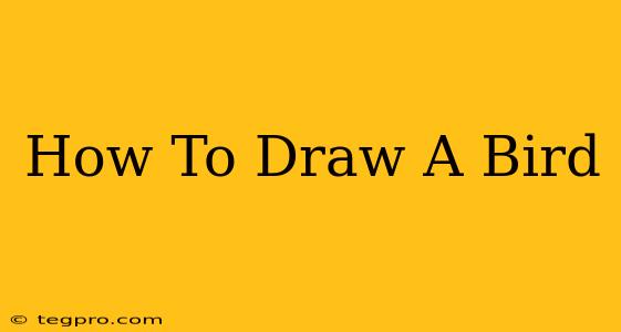 How To Draw A Bird