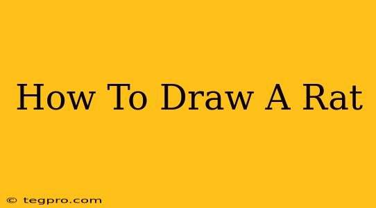 How To Draw A Rat