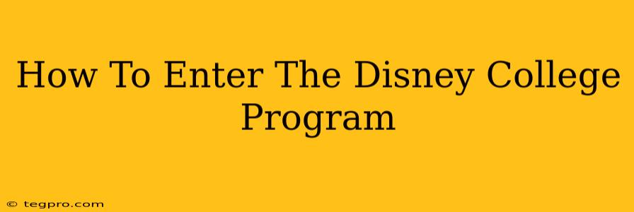 How To Enter The Disney College Program