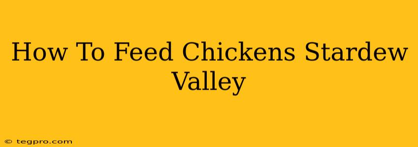 How To Feed Chickens Stardew Valley