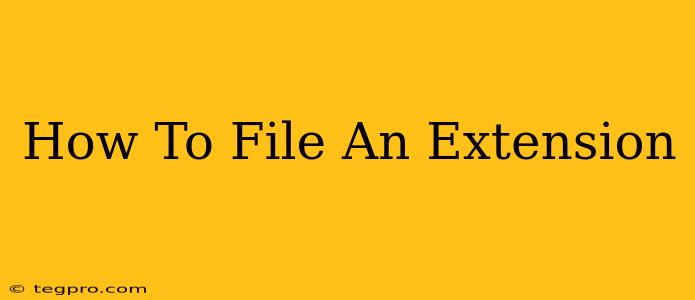 How To File An Extension